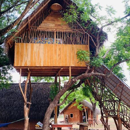 Yala Village Eco Tree House 蒂瑟默哈拉默 外观 照片