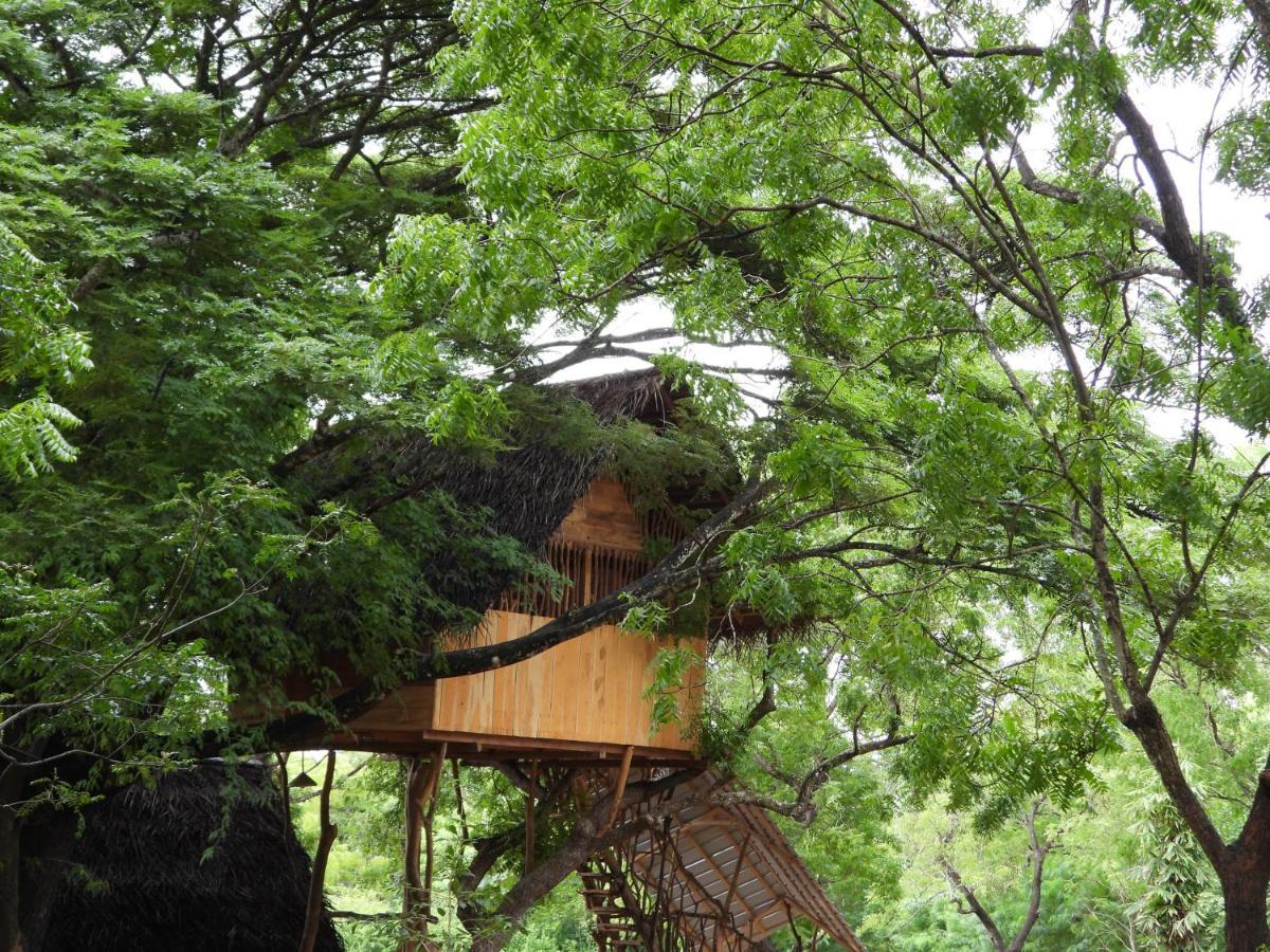 Yala Village Eco Tree House 蒂瑟默哈拉默 外观 照片