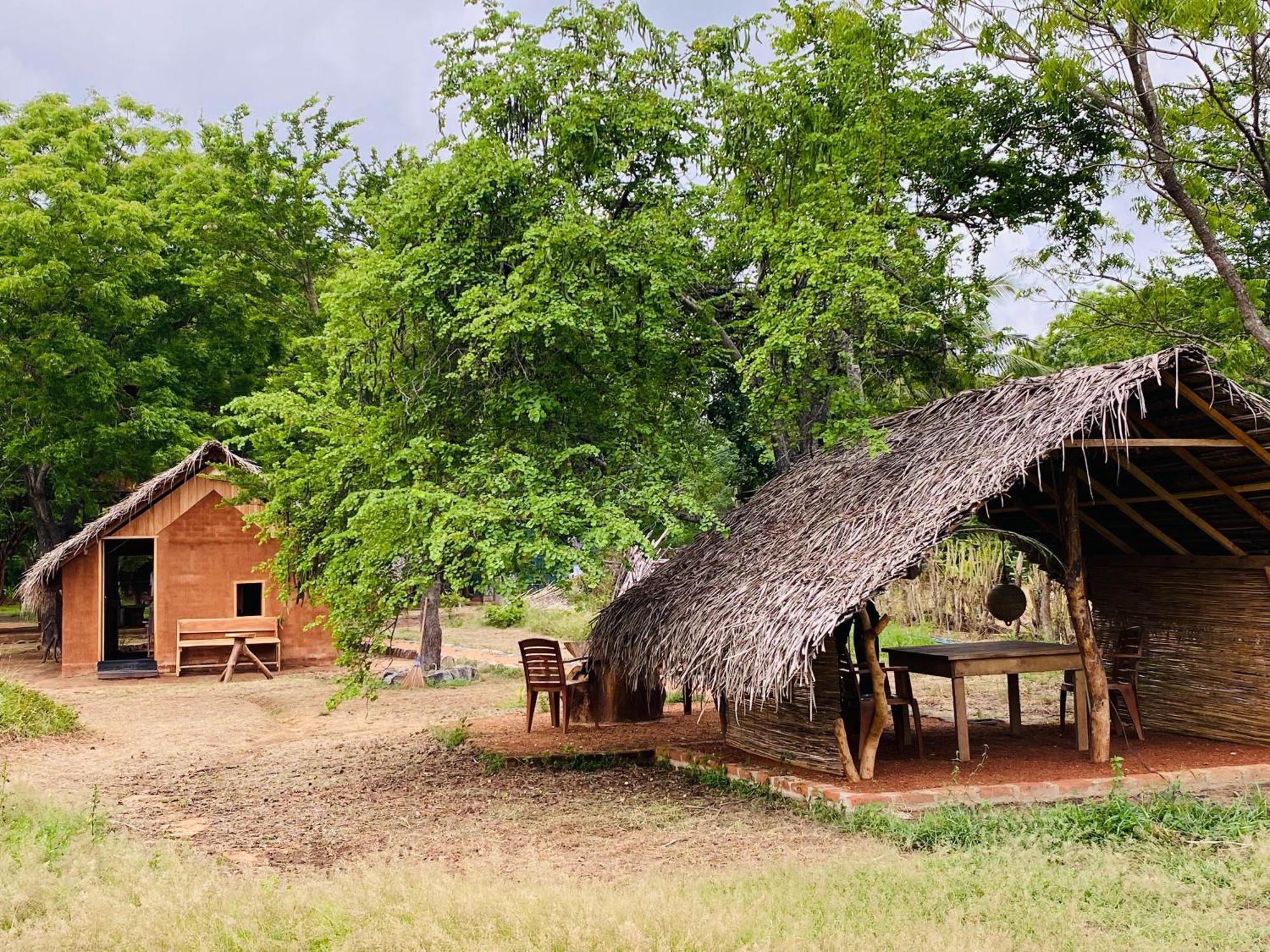 Yala Village Eco Tree House 蒂瑟默哈拉默 外观 照片