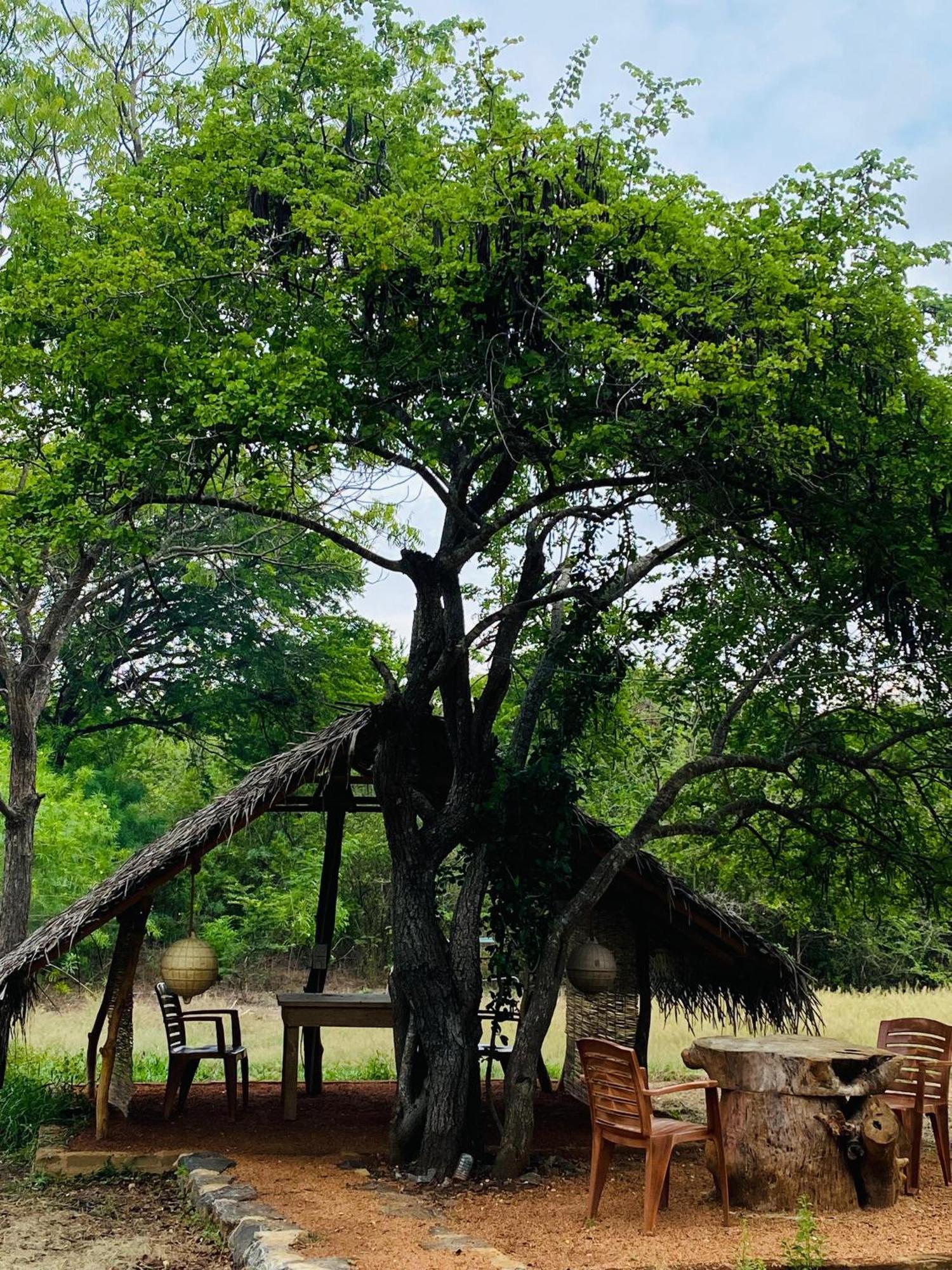 Yala Village Eco Tree House 蒂瑟默哈拉默 外观 照片