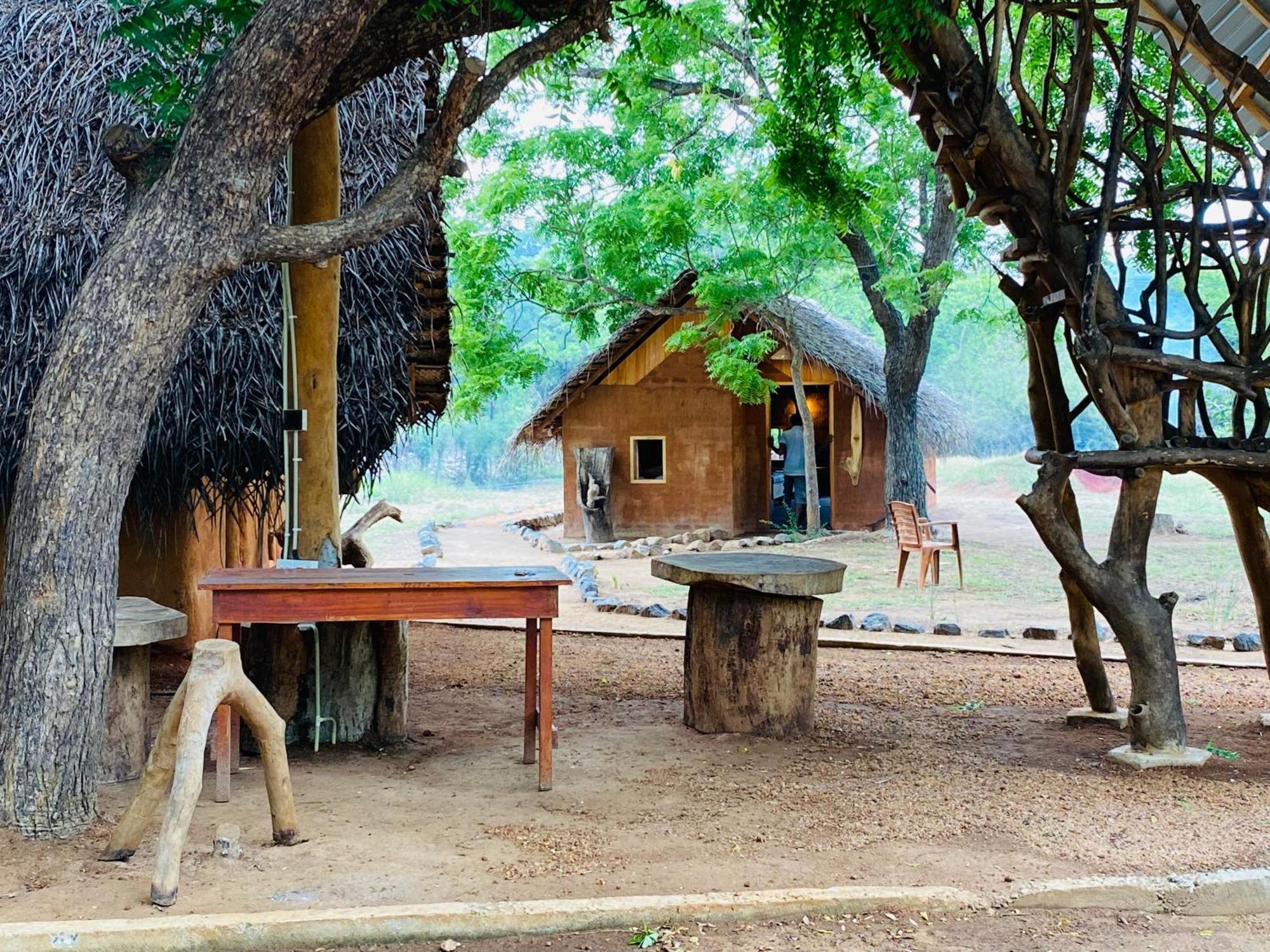 Yala Village Eco Tree House 蒂瑟默哈拉默 外观 照片