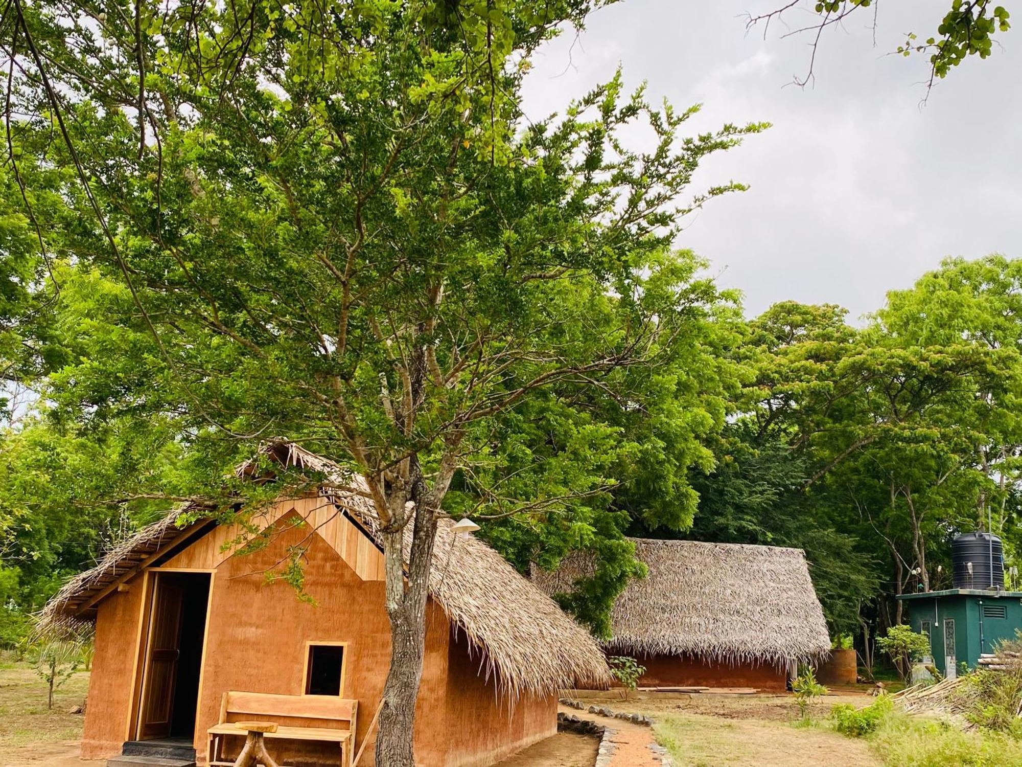 Yala Village Eco Tree House 蒂瑟默哈拉默 外观 照片